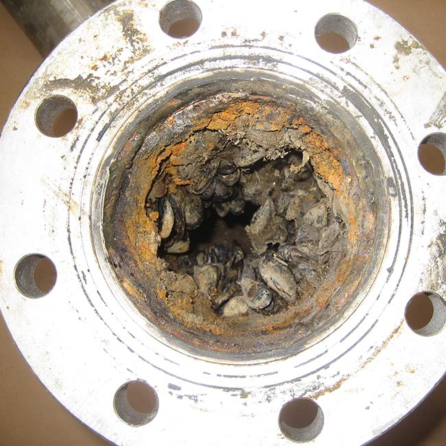 evitare i danni da corrosione galvanica dei componenti metallici del settore navale
